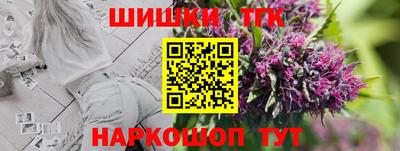 прущие грибы Нальчик