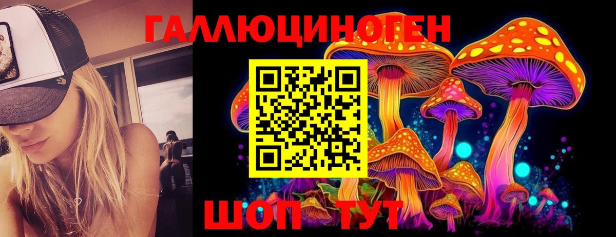 Псилоцибиновые грибы Cubensis  Галлюциногенные грибы мицелий  Вход с VPN  Джанкой 